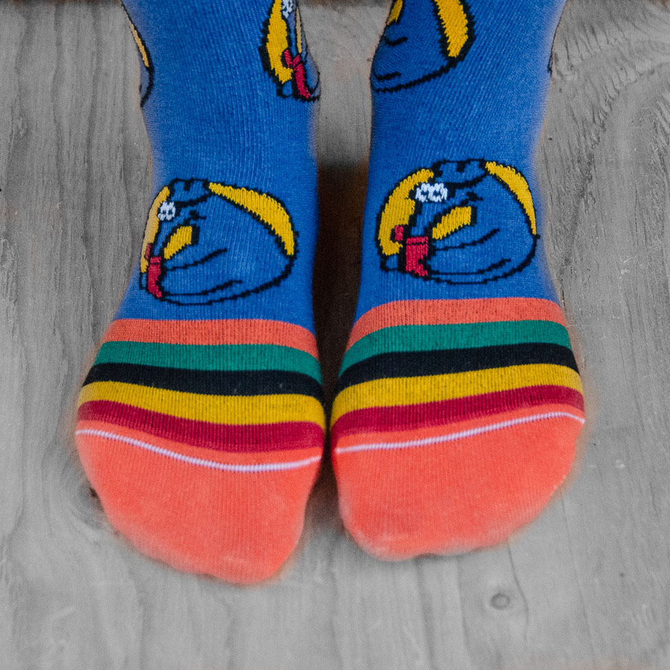 Secret aardvark socks