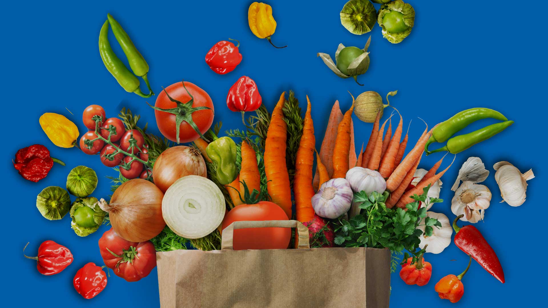 Grocery shopping bag with chilis and vegetables tumbling onto a blue table top.